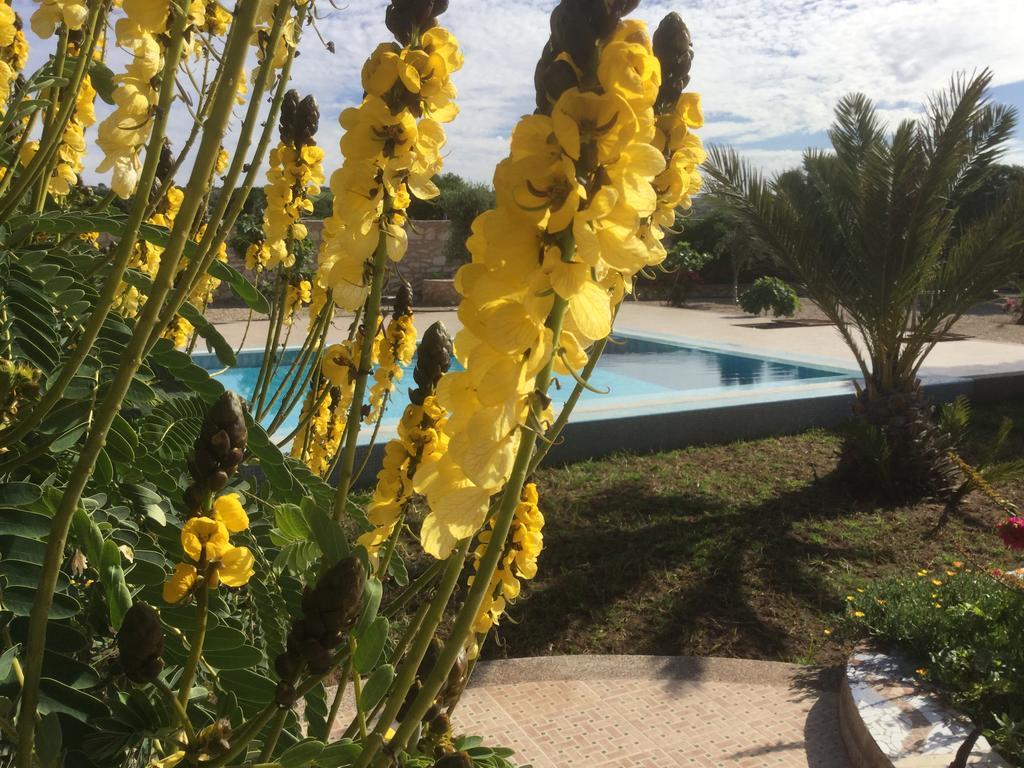 Dar Albatros Guest House Сиди Кауки Екстериор снимка